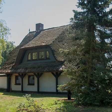 Haus Schilfkante - Wohnung 2 Wieck Exteriér fotografie