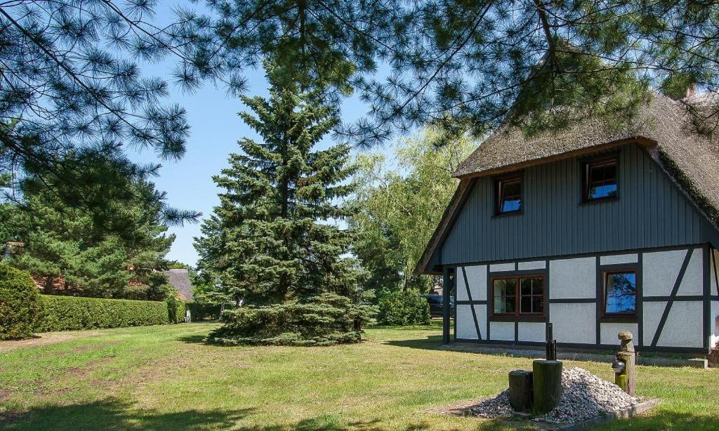 Haus Schilfkante - Wohnung 2 Wieck Exteriér fotografie