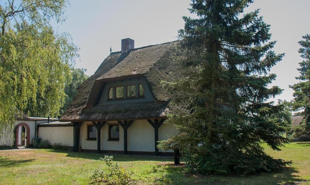 Haus Schilfkante - Wohnung 2 Wieck Exteriér fotografie